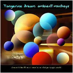 Tangerine Dream : Ambient Monkeys